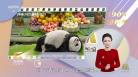 91精品国产高清
